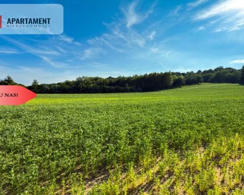 Tylko u nas! Działka 1,13 ha Gruczno REZERWACJA!