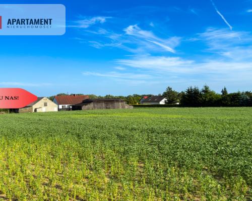 Tylko u nas! Działka 1,13 ha Gruczno REZERWACJA!