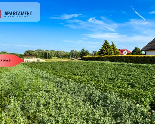 Tylko u nas! Działka 1,13 ha Gruczno REZERWACJA!