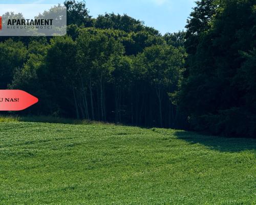 Tylko u nas! Działka 1,13 ha Gruczno REZERWACJA!