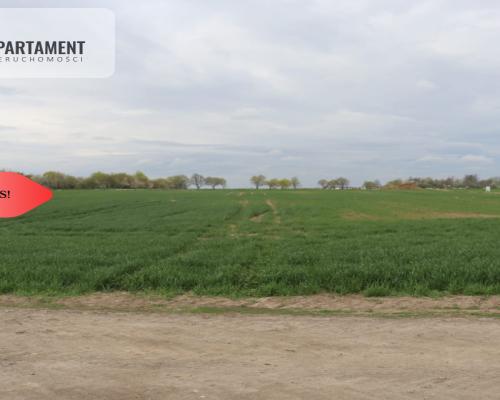 Duża działka 1,15 ha z zabudowaniami