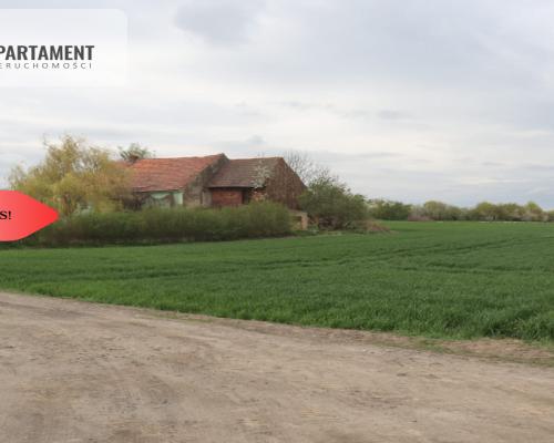 Duża działka 1,15 ha z zabudowaniami