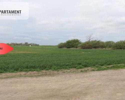 Duża działka 1,15 ha z zabudowaniami