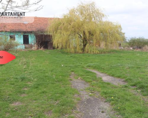 Duża działka 1,15 ha z zabudowaniami