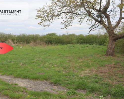 Duża działka 1,15 ha z zabudowaniami