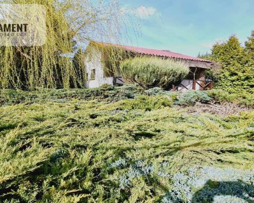 Piękna działka ROD Borówka |Niedaleko jeziora