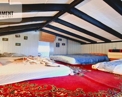 Piękna działka ROD Borówka |Niedaleko jeziora