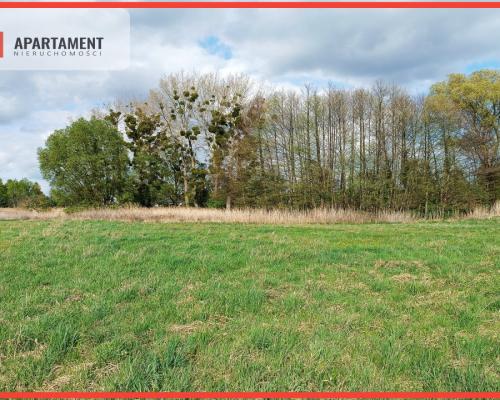Dąbrowa Chełmińska działka 3072 m2