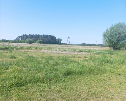 Dąbrowa Chełmińska działka 3072 m2