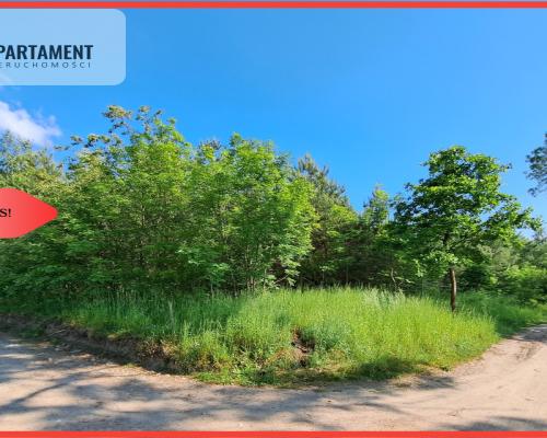 Zadrzewiona działka blisko Zalewu Koronowskiego