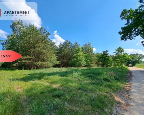 Zadrzewiona działka blisko Zalewu Koronowskiego