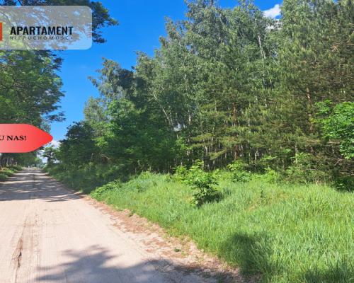 Zadrzewiona działka blisko Zalewu Koronowskiego