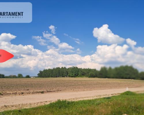 Zadrzewiona działka blisko Zalewu Koronowskiego