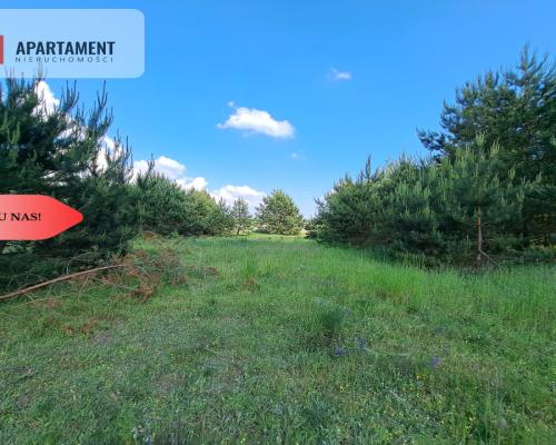 Zadrzewiona działka blisko Zalewu Koronowskiego