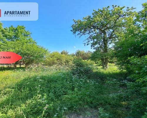 Zadrzewiona działka blisko Zalewu Koronowskiego