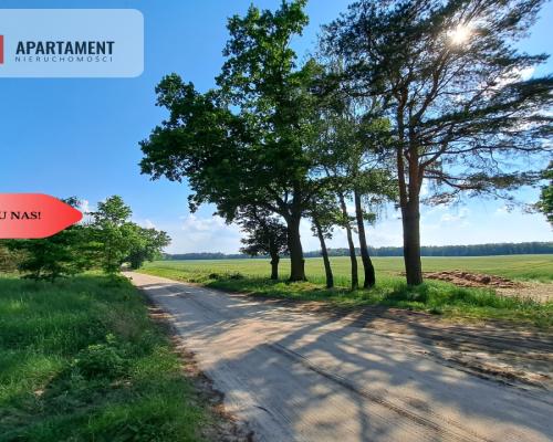 Zadrzewiona działka blisko Zalewu Koronowskiego