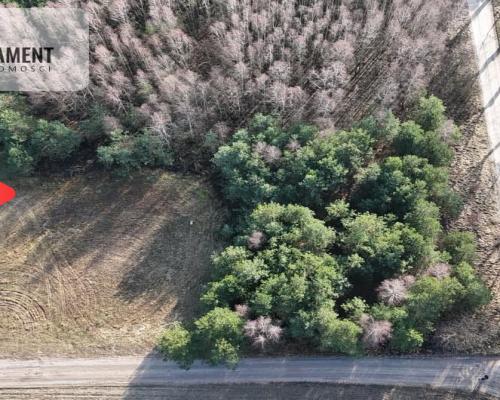 Zadrzewiona działka blisko Zalewu Koronowskiego