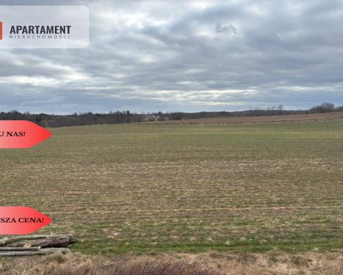 Działki z potencjałem  - Liniewskie Góry