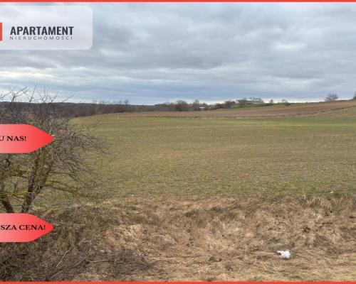 Działki z potencjałem  - Liniewskie Góry