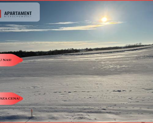 Działki z potencjałem  - Liniewskie Góry