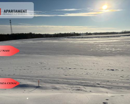 Działki z potencjałem  - Liniewskie Góry