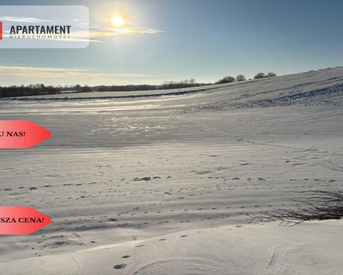 Działki z potencjałem  - Liniewskie Góry