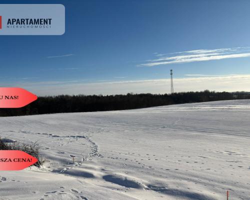 Działki z potencjałem  - Liniewskie Góry