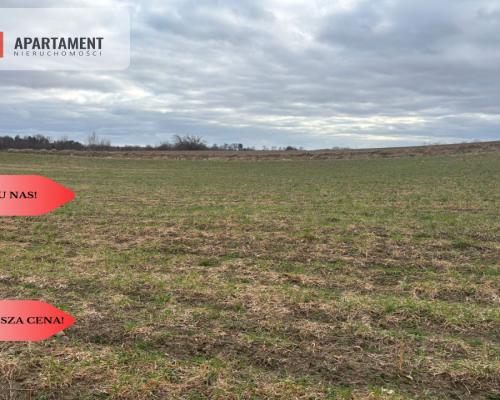 Działki z potencjałem  - Liniewskie Góry