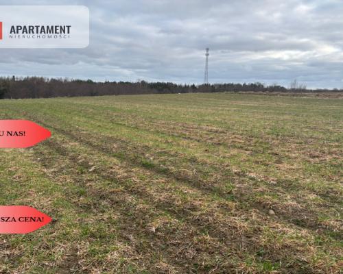 Działki z potencjałem  - Liniewskie Góry