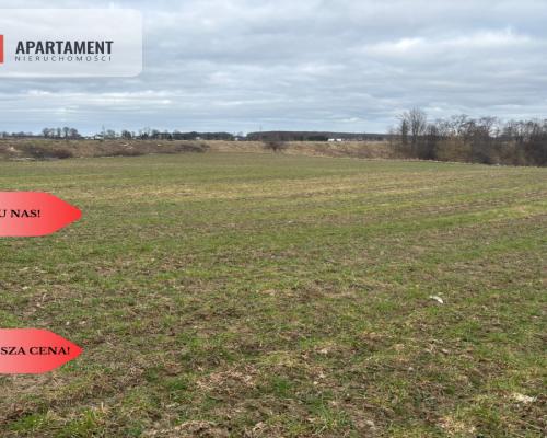 Działki z potencjałem  - Liniewskie Góry