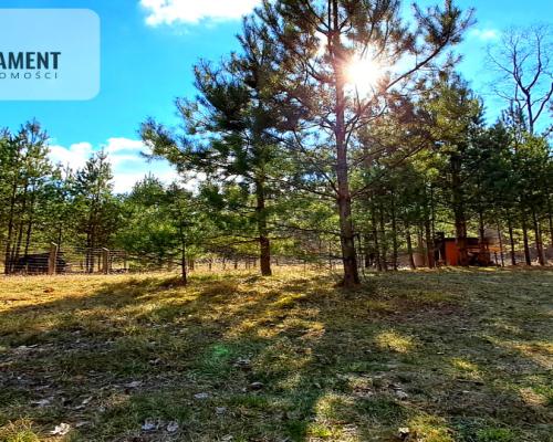 Duża działka budowlana blisko jeziora!!!