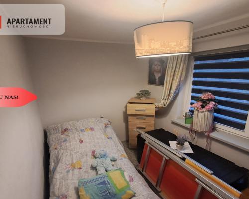 Piękna działka ROD w Żurczynie