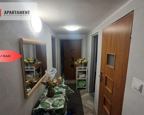 Piękna działka ROD w Żurczynie