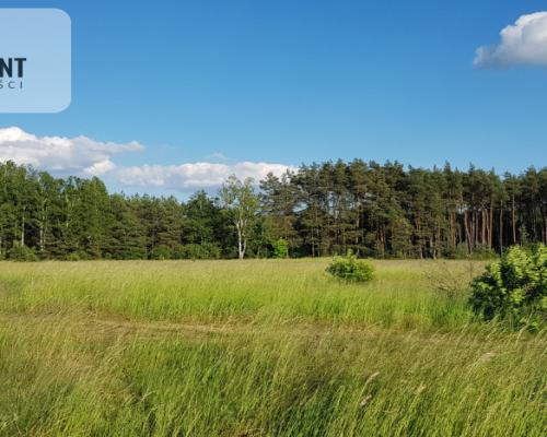 Jedna z niewielu takich nieruchomości w mieście!