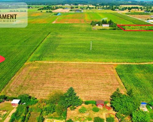 Toporzysko 3000m2 z MPZP spokój cisza