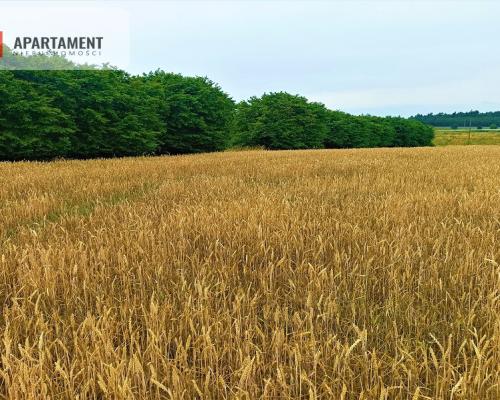 OKAZJA !!! OSÓWIEC DZIAŁKI BUDOWLANE 862m2