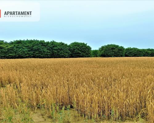 OKAZJA !!! OSÓWIEC DZIAŁKI BUDOWLANE 862m2