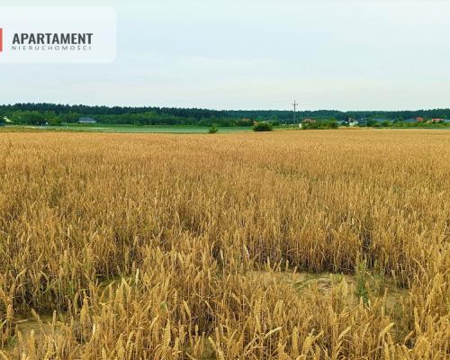 OKAZJA !!! OSÓWIEC DZIAŁKI BUDOWLANE 862m2