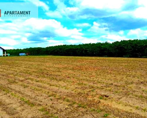 OKAZJA !!! OSÓWIEC DZIAŁKI BUDOWLANE 862m2