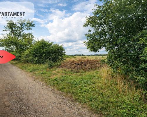 Działka pod domek letniskowy – Osiek