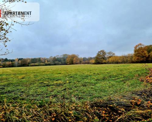 Działka inwestycyjna/ Raszówka