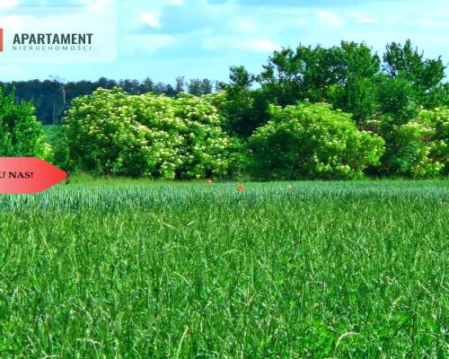 Tylko u nas !!! Działki ze stawem.