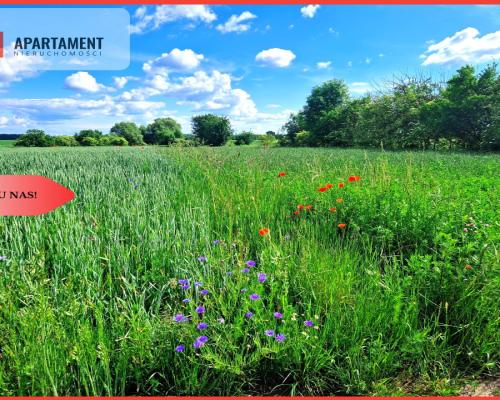 Tylko u nas !!! Działki ze stawem.