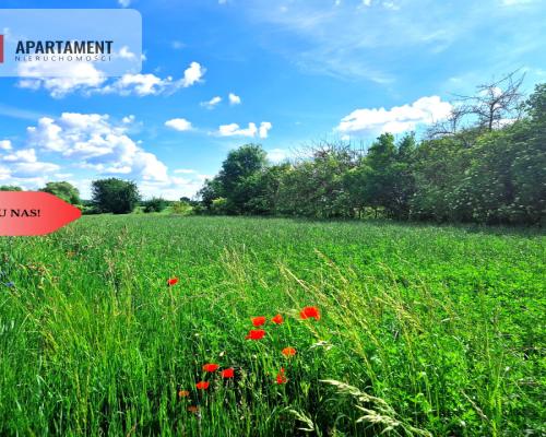 Tylko u nas !!! Działki ze stawem.