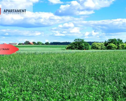 Tylko u nas !!! Działki ze stawem.