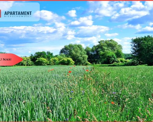 Tylko u nas !!! Działki ze stawem.