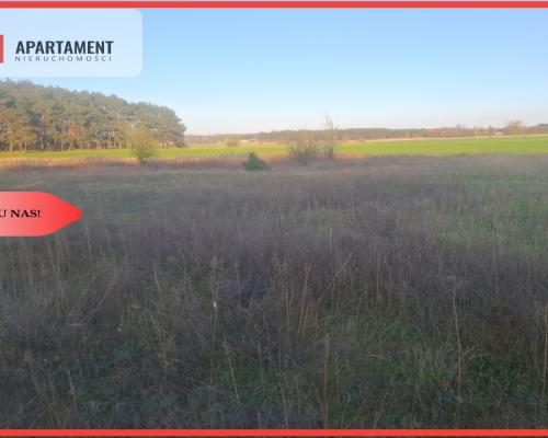 TYLKO U NAS !!! ATRAKCYJNA DZIALKA WSRÓD LASU