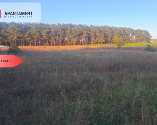 TYLKO U NAS !!! ATRAKCYJNA DZIALKA WSRÓD LASU