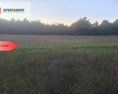 TYLKO U NAS !!! ATRAKCYJNA DZIALKA WSRÓD LASU