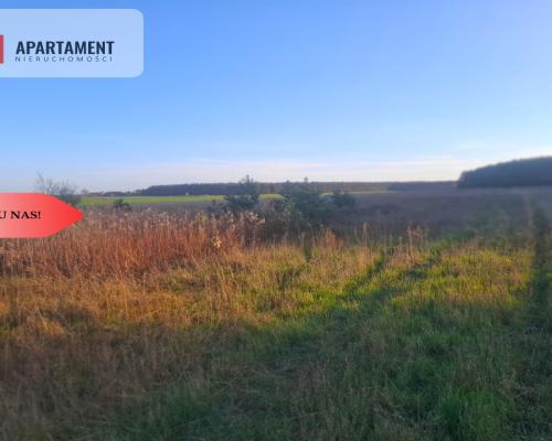 TYLKO U NAS !!! ATRAKCYJNA DZIALKA WSRÓD LASU